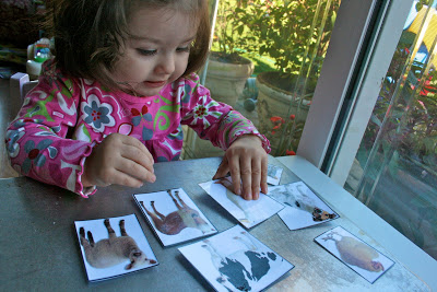 Printable Refrigerator Magnets! Printable Refrigerator Magnets!