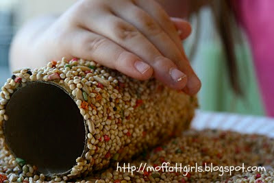 EASY and FUN Toiletpaper Roll Bird Feeders! EASY and FUN Toiletpaper Roll Bird Feeders!