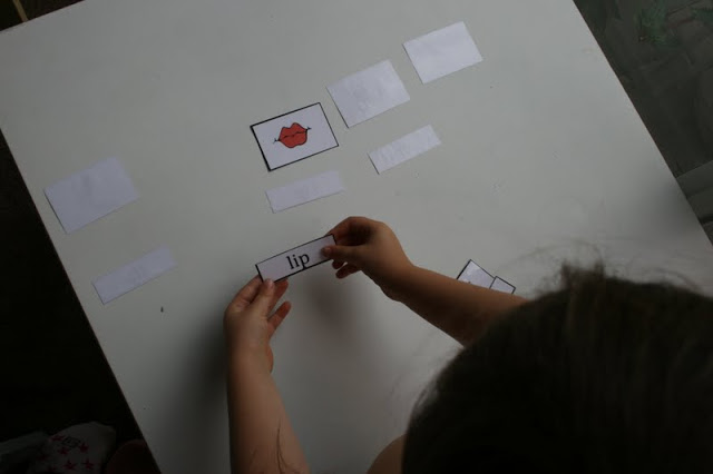 The Ready2Read program is a hands-on, interactive and engaging activities that make learning phonics, sight words and word families fun for Pre-K, Kindergarten, and 1st Graders!