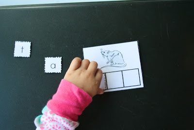 Toddler Tasks!