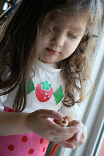 Toddler Tasks Week 5!