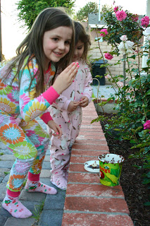 1,500 Ladybugs! 1,500 Ladybugs!