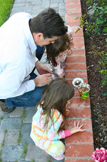 1,500 Ladybugs! 1,500 Ladybugs!