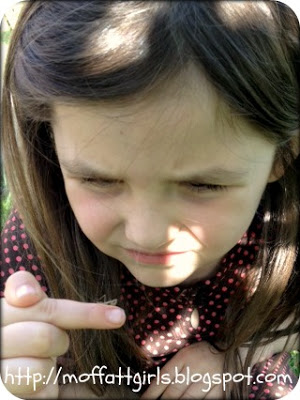 Praying Mantises!