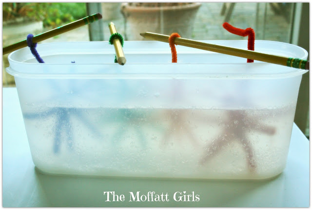 Easy Borax Snowflakes! Easy Borax Snowflakes!