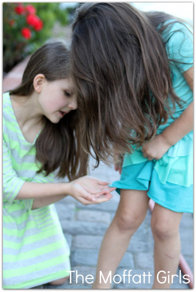 FUN with Ladybugs!