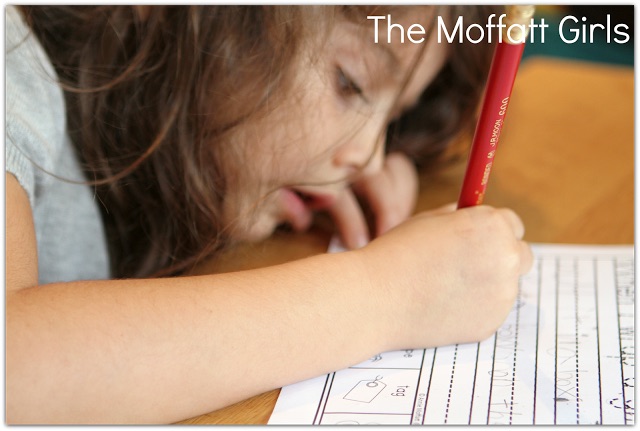 Journal Prompts for December- These 20 journal prompts include I Can statements to build writing skills and a picture dictionary to spark the imagination. Perfect for beginning writers.