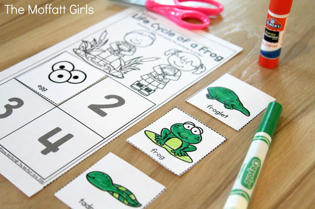 March NO PREP Packet (Preschool) in action! Teach number concepts, colors, shapes, letters, phonics and so much more with the March NO PREP Packet for Preschool!