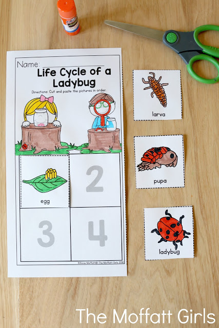 Teach number concepts, colors, shapes, letters, phonics and so much more with the May NO PREP Packet for Preschool!