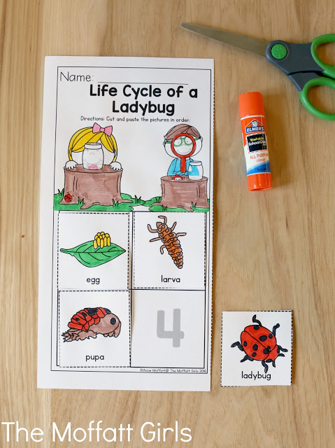 Teach number concepts, colors, shapes, letters, phonics and so much more with the May NO PREP Packet for Preschool!