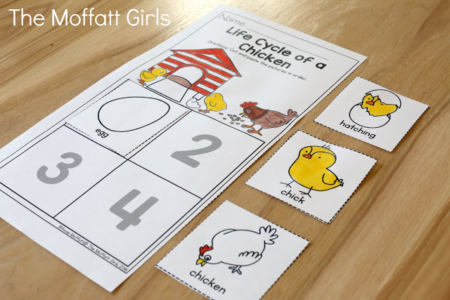 Teach number concepts, colors, shapes, letters, phonics and so much more with the May NO PREP Packet for Preschool!