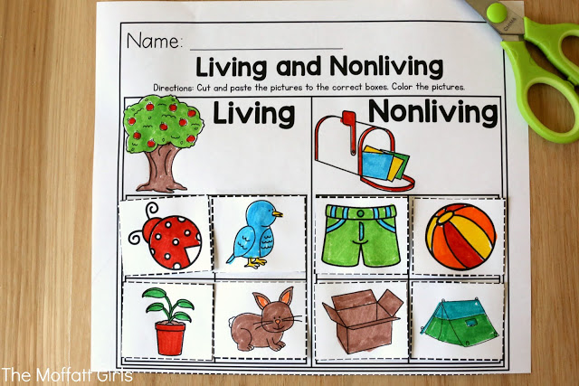 Teach number concepts, colors, shapes, letters, phonics and so much more with the May NO PREP Packet for Preschool!