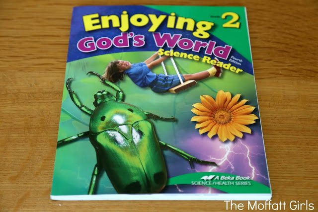 Curriculum Choices for 2nd Grade for Reading, Writing, Math and more!