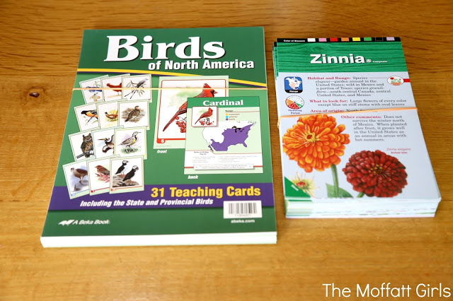 Curriculum Choices for 2nd Grade for Reading, Writing, Math and more!