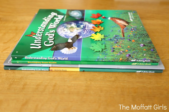 Curriculum Choices for 4th Grade for Reading, Writing, Math and more!