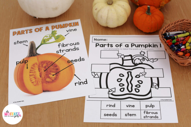 Pumpkin Science Unit and Craft
