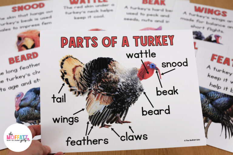 Turkey Science Unit and Craft