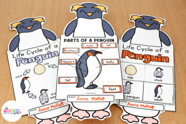 Penguin Science and Craft