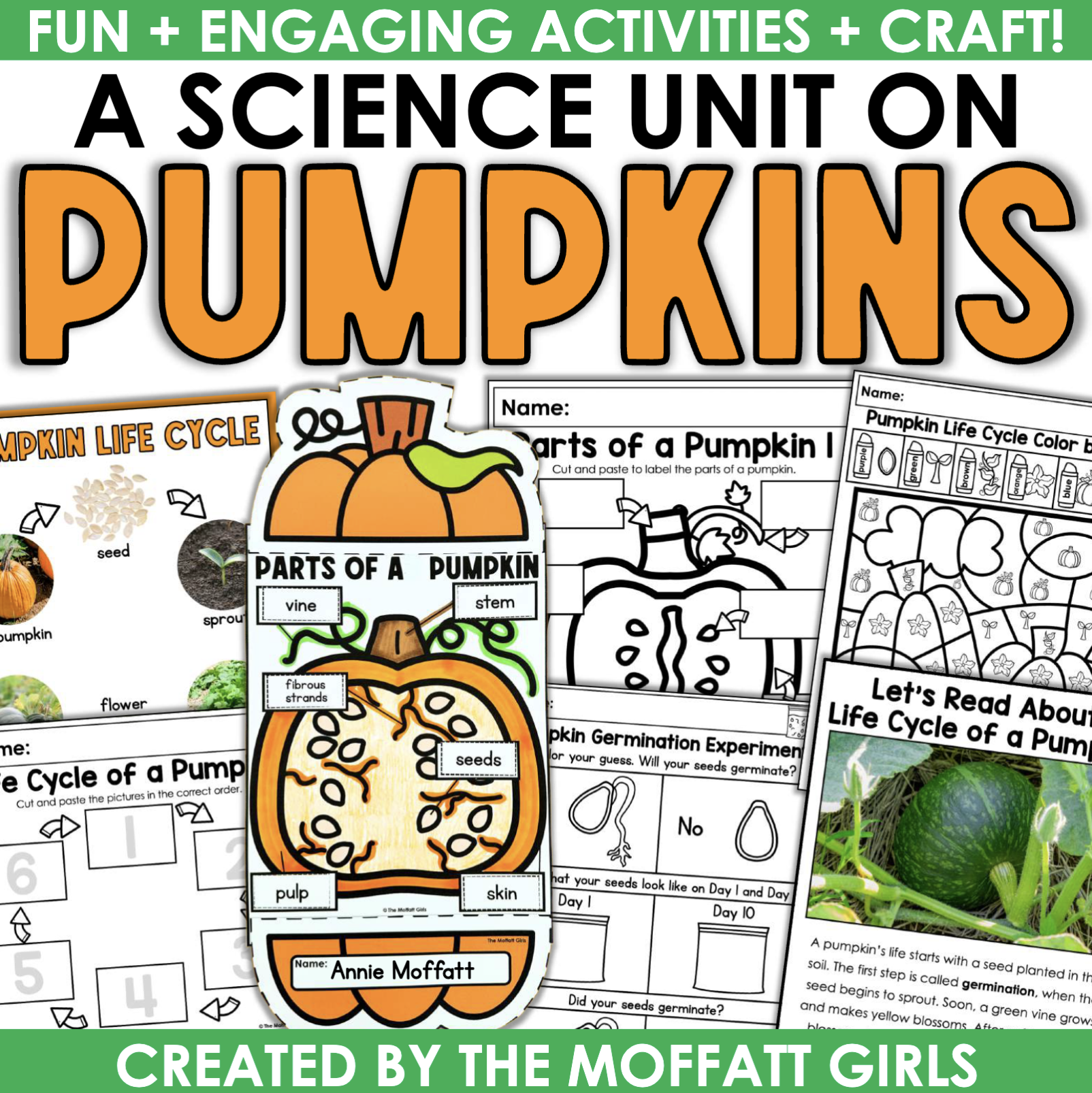 PumpkinScienceLifeCycleFallCraftPartsofaVocabularyActivitiesWorksheet.png