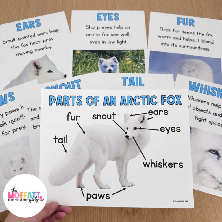 Arctic Fox Science