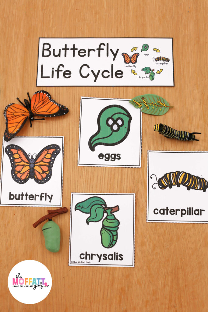 Butterfly Science Unit