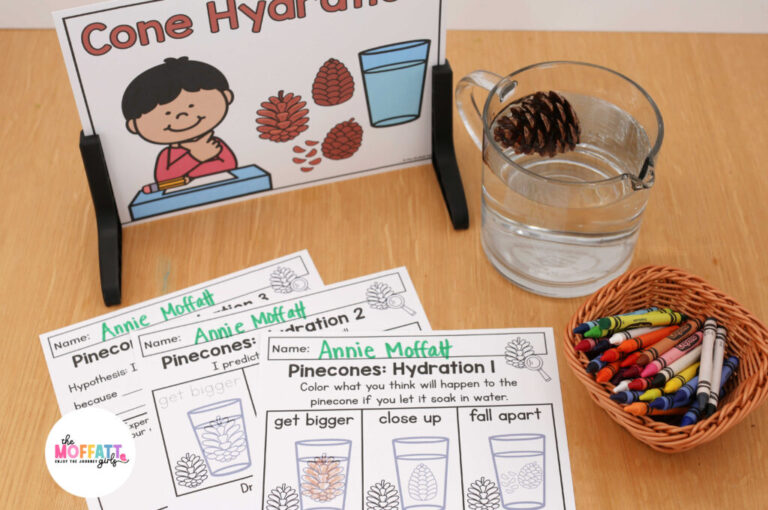 Evergreen Tree Science Unit