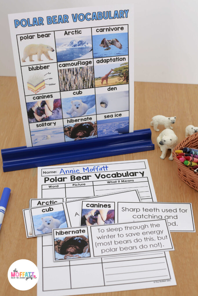 Polar Bear Science Unit
